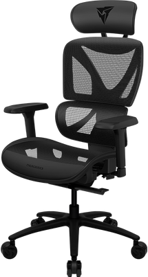 Ergonomic Gaming Chair ThunderX3 XTC Mesh Black, User max load up to 125kg / height 165-185cm 209206 фото