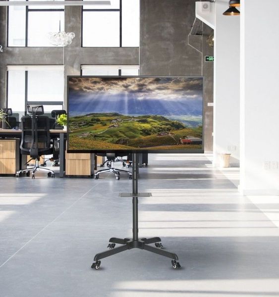 Mobile Stand for Displays Reflecta TV Stand 55P; 37-55"; max. VESA 800x400; max 40 kg 111352 фото