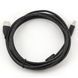 Cable USB, AM/BM, 3.0 m, USB2.0 Premium quality with ferrite core, CCF-USB2-AMBM-10 42842 фото 3
