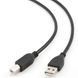 Cable USB, AM/BM, 4.5 m, USB2.0, High quality with ferrite core, CCP-USB2-AMBM-15 49236 фото 2