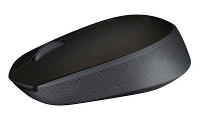 Wireless Mouse Logitech M171, Optical, 3 buttons, Ambidextrous, 1xAA, Black 76618 фото