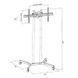 Mobile Stand for Displays Reflecta TV Stand 55P; 37-55"; max. VESA 800x400; max 40 kg 111352 Imagini 9