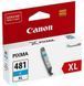 Ink Cartridge Canon CLI-481 C, Cyan 123263 Imagini 1