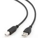 Cable USB, AM/BM, 5.0 m, USB2.0, High quality with ferrite core, CCP-USB2-AMBM-15 49236 фото 2