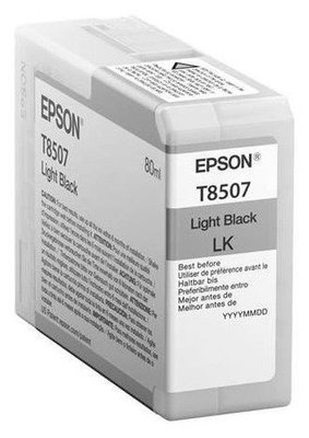 Ink Cartridge Epson T850700 Light Black 83116 фото
