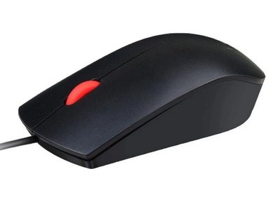 Lenovo Essential USB Mouse Black 137093 фото