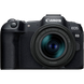 Беззеркальный фотоаппарат Canon EOS R8 & RF 24-50mm f/4.5-6.3 IS STM KIT 205576 фото 2