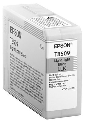 Ink Cartridge Epson T850900 LLBlack 83118 фото