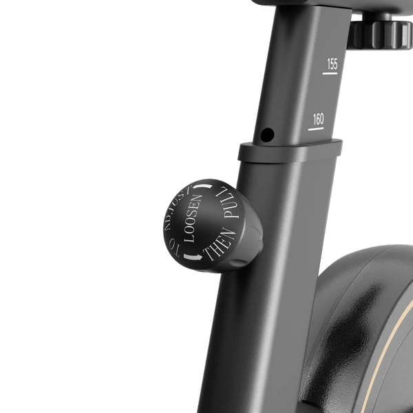 Kingsmith Spin bike PB-08S Black 235787 Imagini