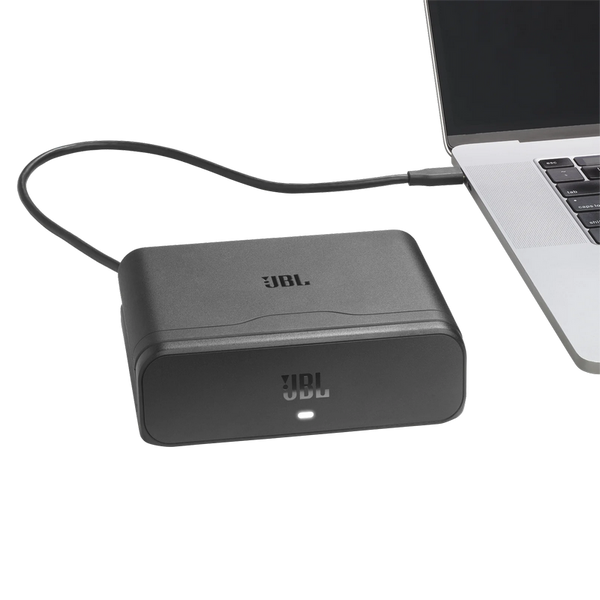 JBL Battery 600x2 + charging case for Partybox 520/720, Black 249210 фото