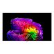 77" OLED SMART TV LG OLED77G64LW, Galery Edition, 4K UHD, webOS, Black 261029 Imagini 10