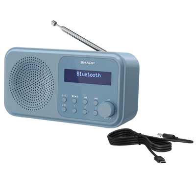 Sharp DR-P420BLV01, Portable Digital Radio 205332 фото