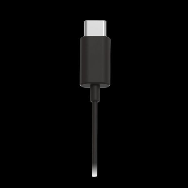 Earphones Philips TAE5008BK/00, Type-C, Black 210736 фото