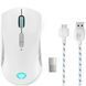 Lenovo Legion M600 Wireless Gaming Mouse (Stingray) 149370 Imagini 1