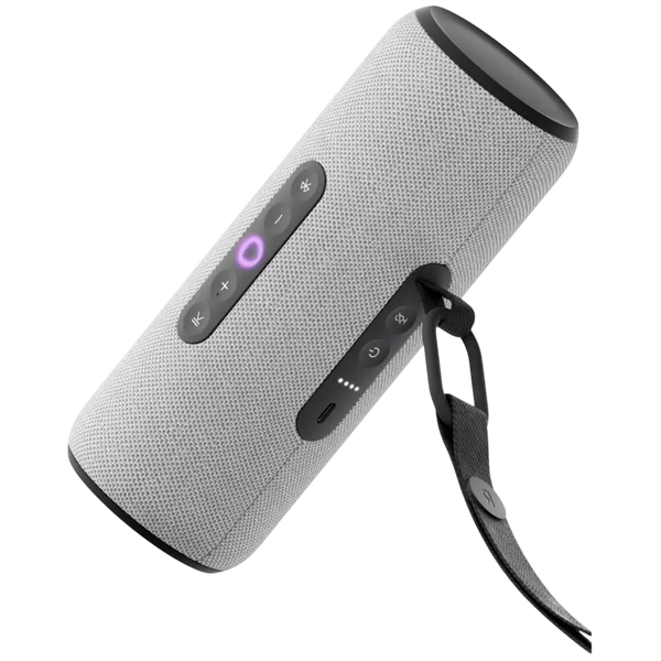 Yandex Station Street, Grey, YNDX-00030GRY 237801 Imagini