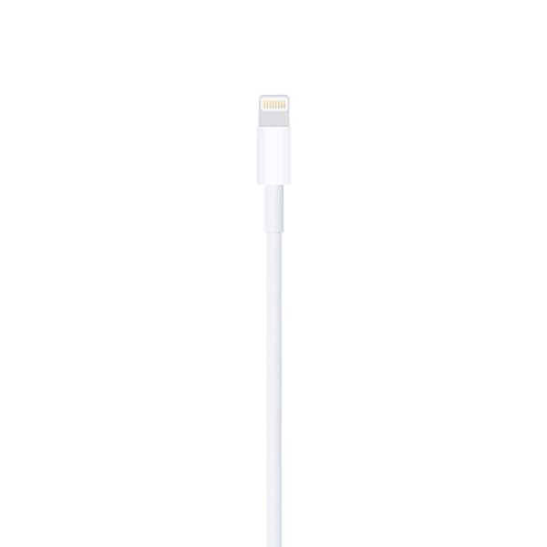 Original Apple Lightning to USB Cable (1 m), Model A1480, White 127105 фото