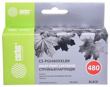 Ink Cartridge Canon PGI-480 PGBK, Pigmented Black 123265 Imagini