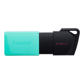 256GB USB3.2 Flash Drive Kingston DataTraveler Exodia M (DTXM/256GB), Black-Blue, Plastic,Slider Cap 146140 Imagini