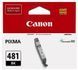 Ink Cartridge Canon CLI-481 BK, Black 123264 фото 1