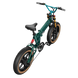 Electric bicycle FIIDO M1Pro Green/Blue (M2026) 261476 фото 4