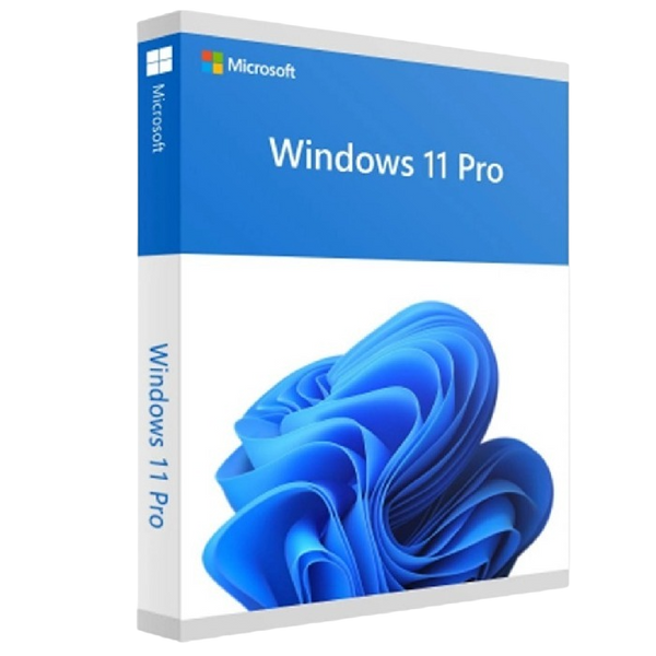 WIN PRO FPP 11 64BIT ENG INTL NON-E 140556 фото
