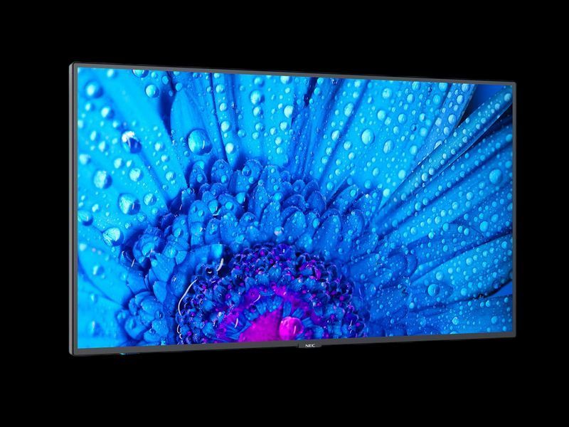 65" Display NEC MultiSync M651, UHD, 500cd/m2, E-LED backlight, 24/7 proof 204864 фото