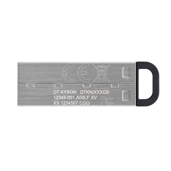 256GB USB3.2 Flash Drive Kingston DataTraveler Kyson, Silver, Metal Case, Key Ring (DTKN/256GB) 136259 фото