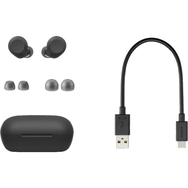 Bluetooth Earphones TWS SONY WF-C710NB, Black 232614 Imagini