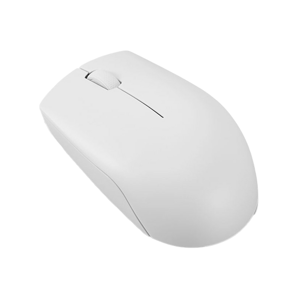 Lenovo 300 Wireless Compact Mouse Cloud Grey (GY51L15677) 214067 Imagini