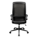 Gaming Chair Cougar Stryder, Gray 258429 Imagini 2