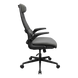 Gaming Chair Cougar Stryder, Gray 258429 Imagini 3
