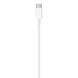 Original Apple Lightning to USB-C Cable (2 m), Model A2441 132868 Imagini 1