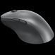 Lenovo Pro BT Recharge Mouse (4Y51J62544) 210509 Imagini 1