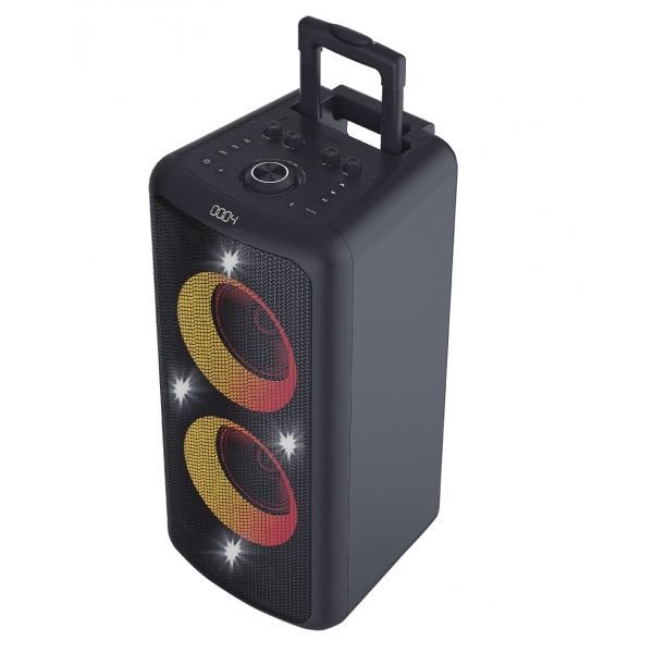 Portable Audio System F&D PA300 125672 фото