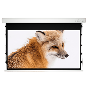 Electrical Screen 16:10 Sopar Taurus Tensioned, 5275ZT, 270x169 view area, BB, 1.0 gain 217584 Imagini