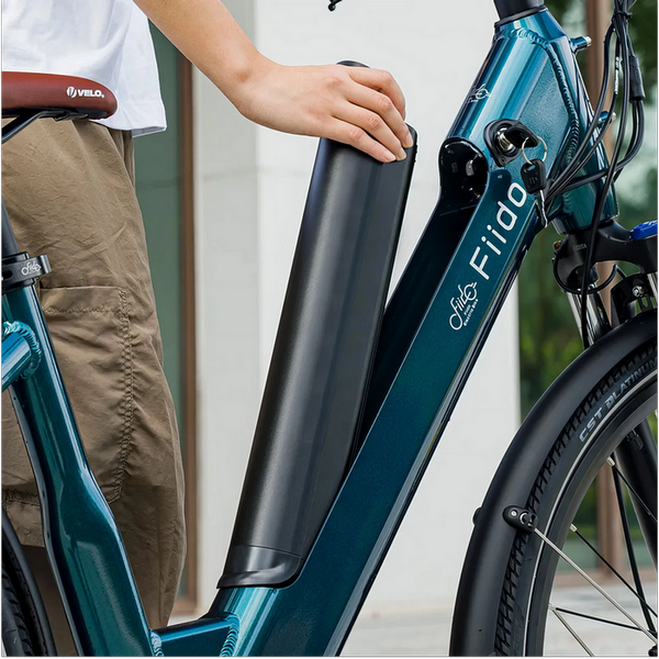 Electric bicycle FIIDO C11 PRo 261510 фото