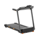 Kingsmith Walkingpad Treadmill G15, Black 262148 фото 1