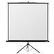 Tripod 240x240cm Reflecta Crystal-Line, Ratio 1:1 119540 фото 1