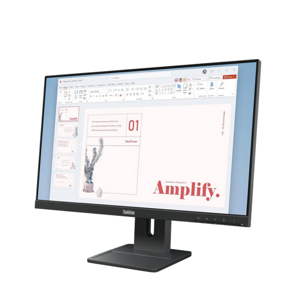 23.8" LENOVO ThinkVision E24-40,Black,IPS,1920x1080 100Hz,4ms, 250cd, CR1300:1,D-Sub+HDMI+DP+USB,Spk 237457 фото