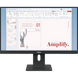 23.8" LENOVO ThinkVision E24-40,Black,IPS,1920x1080 100Hz,4ms, 250cd, CR1300:1,D-Sub+HDMI+DP+USB,Spk 237457 фото 2
