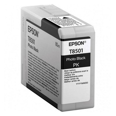 Ink Cartridge Epson T850100 PhotoBlack 83110 фото