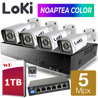 LOKI Set 4 Camere 5 Megapixeli Color Noaptea Microfon Difuzor DS500EXT30 DS500EXT30 фото