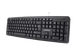 Keyboard Gembird KB-U-103, Standard, Full size, Silent, EN/RU, Black, USB 105369 фото 7