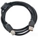 Cable USB, AM/BM, 1.8 m, USB2.0 Premium quality with ferrite core, CCF-USB2-AMBM-6 42843 фото 3