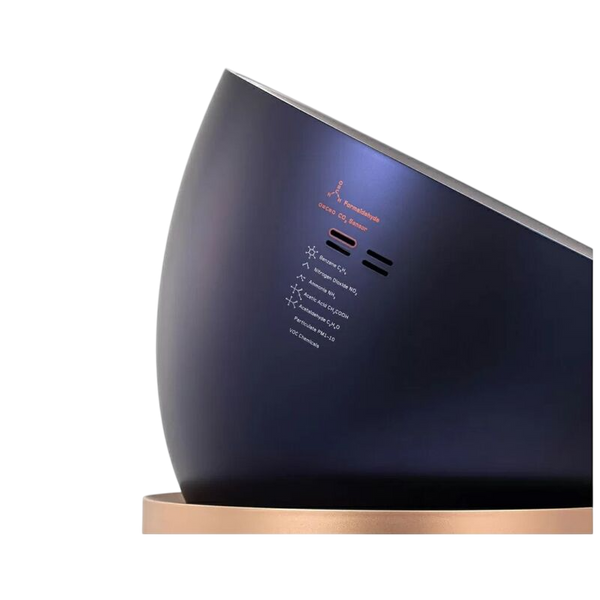 Air Purifier Dyson BP04 Blue/Gold (410624-01) 234961 фото