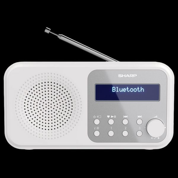 Sharp DR-P420WHV01, Portable Digital Radio 205346 Imagini