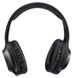 Bluetooth Headphones Panasonic RB-HX220BEEK Black, Over size 200464 фото 3